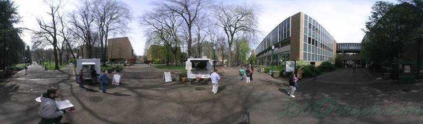 Click to view image in panoramic viewer