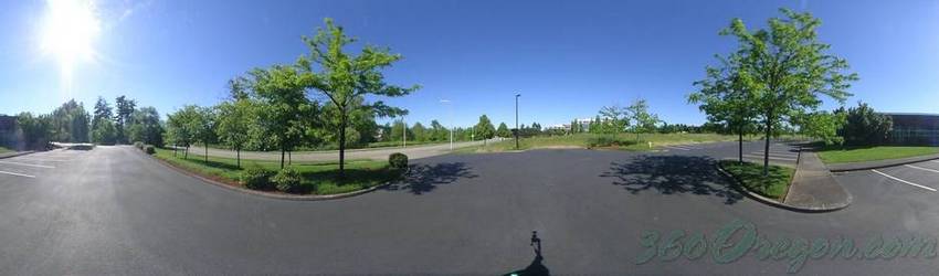 Click to view image in panoramic viewer